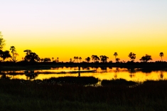 Delta de Okavango (3)