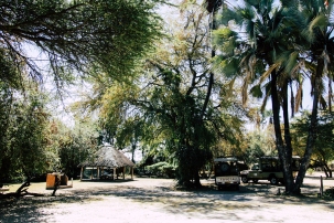 Okavango River Lodge (13)